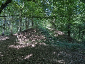 Dans le Bas-Bois de Gives.jpg