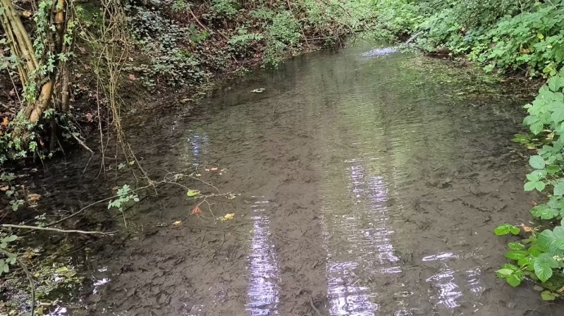 Fichier:Ruisseau de Lizin Trop plein source du hameau.jpg